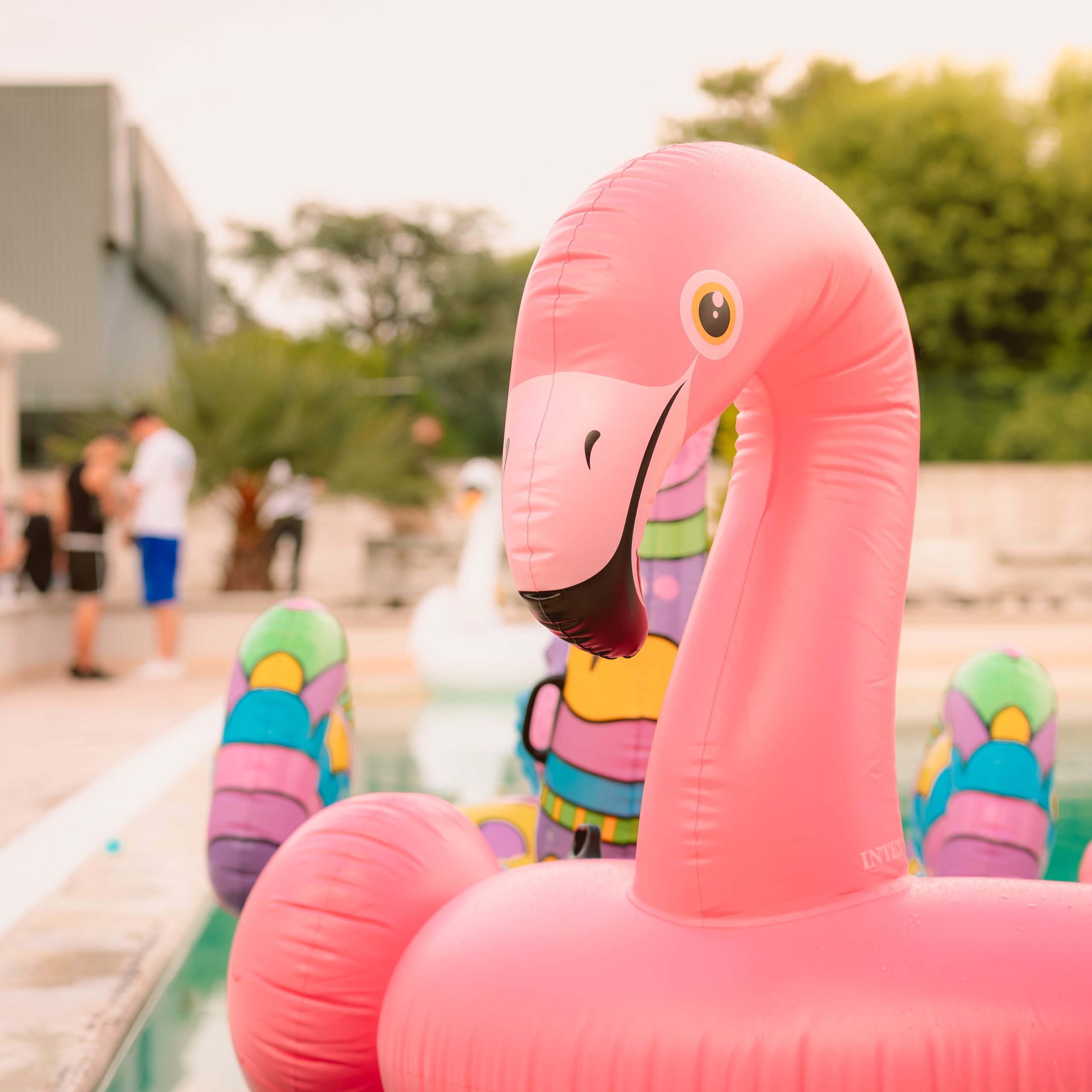 Milan, Italy - 15 June 2024: Pink inflatable flamingo float in a pool during a lively summer event, representing leisure, fun, and holiday atmosphere under warm light.