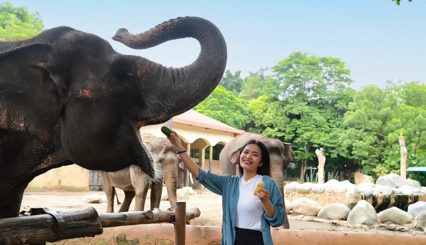 7 Rekomendasi Spot Wisata Kids Friendly di Jogja Terbaik untuk Liburan Keluarga