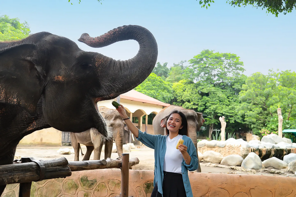 7 Rekomendasi Spot Wisata Kids Friendly di Jogja Terbaik untuk Liburan Keluarga